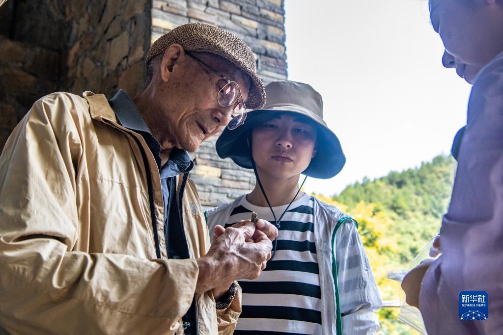 赌博平注制胜